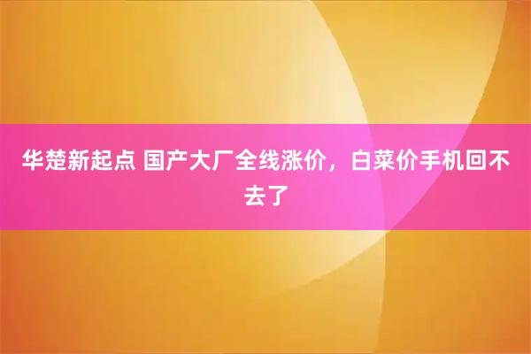 华楚新起点 国产大厂全线涨价,白菜价手机回不去了